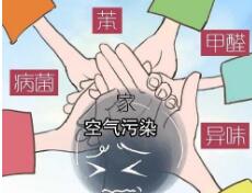 清除室內空氣污染的簡易方法