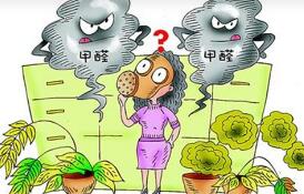 除甲醛方法的經驗分享
