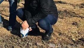 檢測土壤重金屬含量的方法