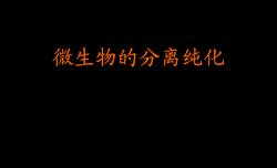 環境中微生物的檢測和分離純化