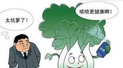 什么可以去除甲醛？