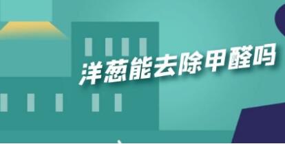 洋蔥能去除甲醛嗎？