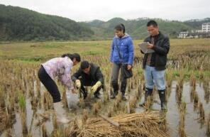 首次全國土壤普查：近兩成耕地被污染