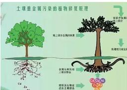 環保部：統一監管大氣、土壤、地表水、地下水和海洋