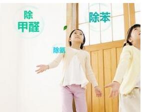 歡喜進新房，憂傷租房去