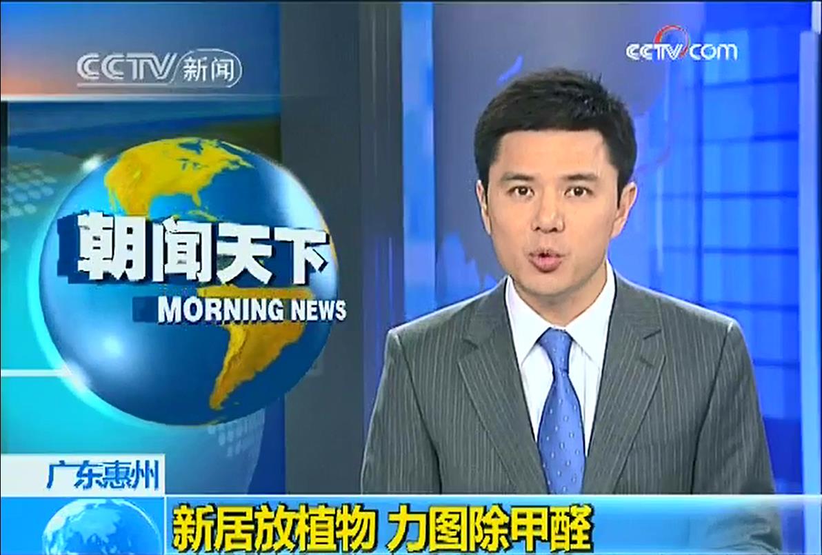光觸媒和植物除甲醛哪個效果好？央視新聞有答案