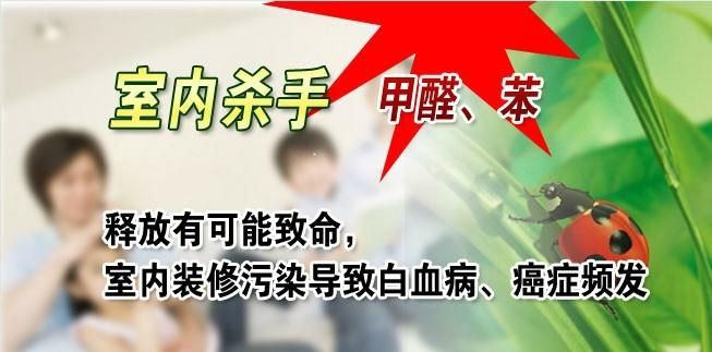 新房裝修完之后不做治理的理由