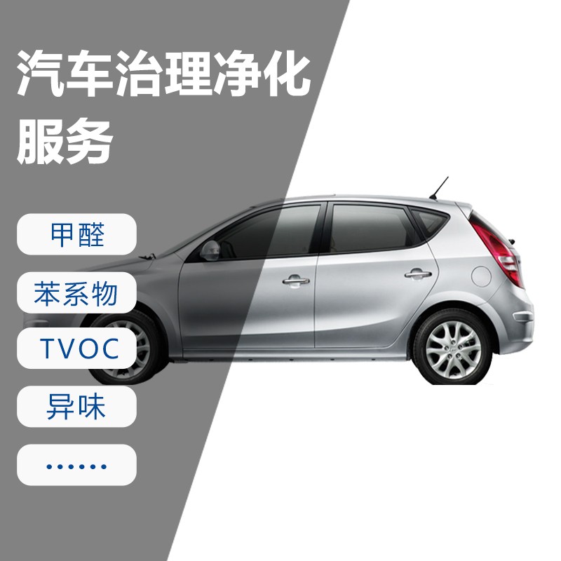 汽車治理進化服務