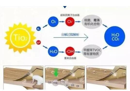 除甲醛效果：光觸媒效果最佳