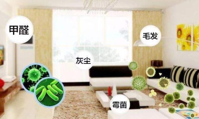 室內除甲醛：白醋洋蔥除甲醛，用完了炒來吃？