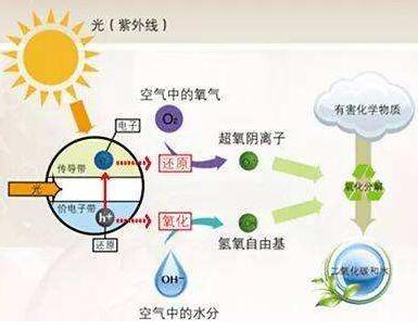 臺州除甲醛公司真的有效嗎?